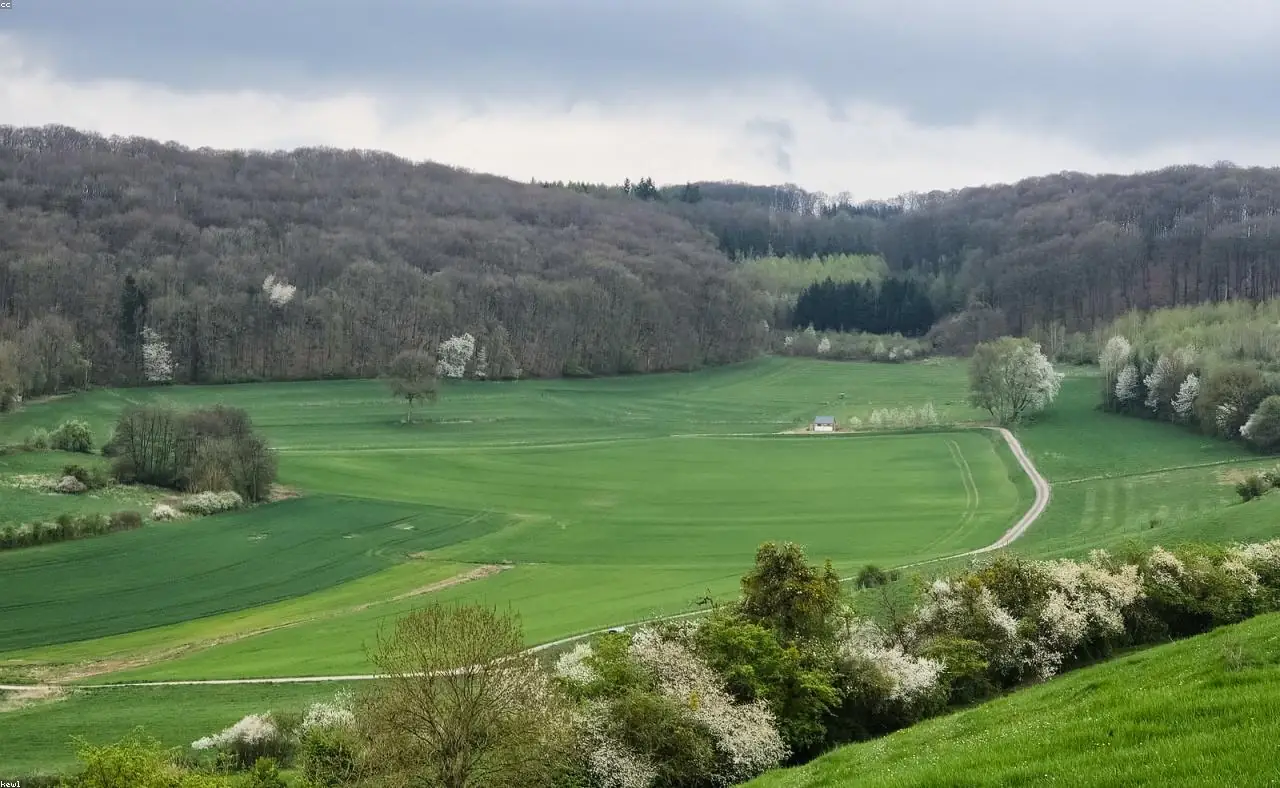 Three Days in the Hills