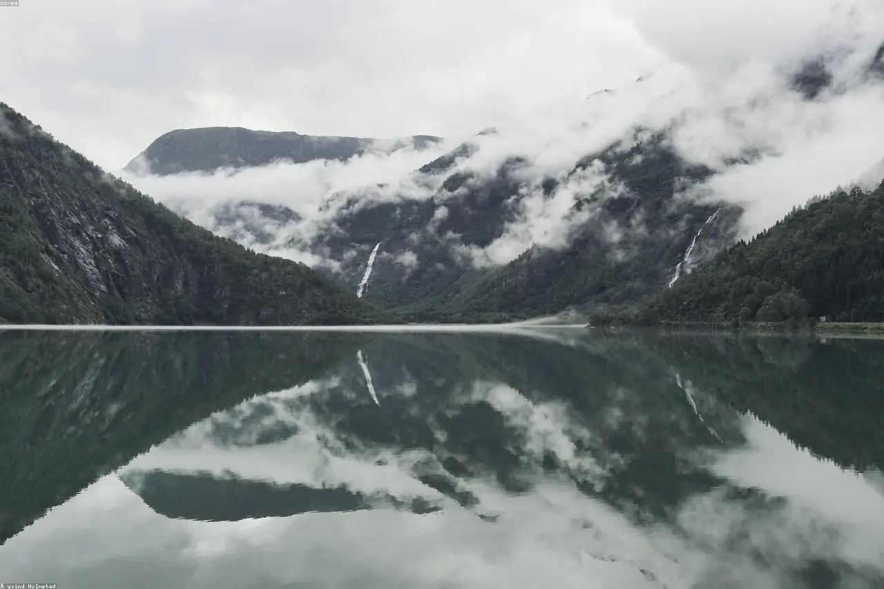 A field guide to slowness