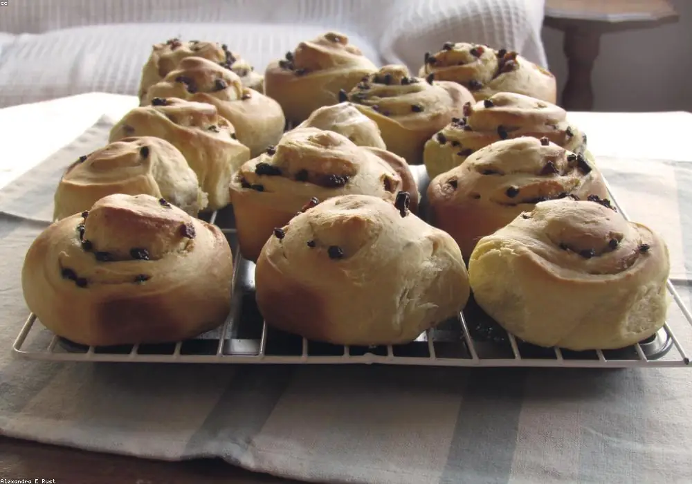 Enriched Doughs & Buns