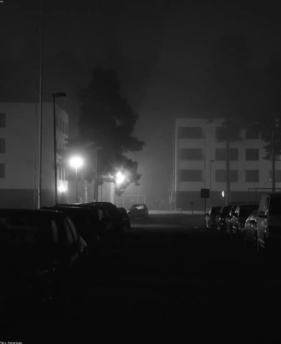 The Night Issue — plate 4