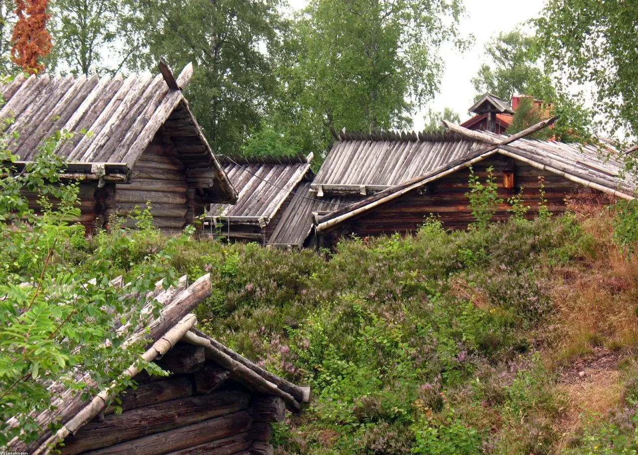 Timber Retreat — view 2